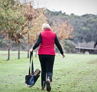 Black Cat Cottage - Accommodation Bookings