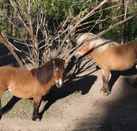 Cloud End Farmstay - Accommodation Bookings