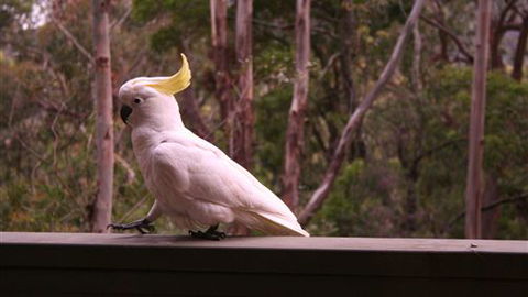 Heavenly Retreat - Accommodation Bookings 5