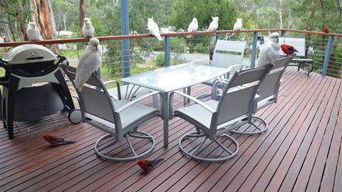 Blue Ridge Retreat - Accommodation Bookings 2