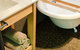 Leader Reef Luxury Accommodation - thumb 5