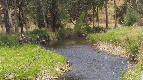 Thowgla Valley VIC Accommodation Bookings