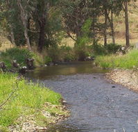 Murphy's Cabin - Accommodation Bookings