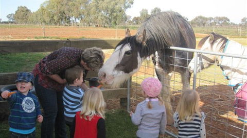 Cabarita Lodge - Accommodation Bookings 4