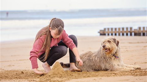 Front Beach Torquay Beach Houses - Accommodation Bookings 4