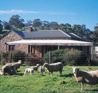 Amanda Stichbury Cottage - Accommodation Bookings