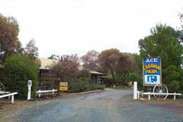 Ace Caravan Park - Accommodation Bookings 0