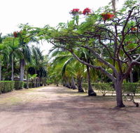 Alva Beach Tourist Park - Accommodation Bookings