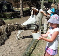 BIG4 Bairnsdale Holiday Park - Accommodation Bookings