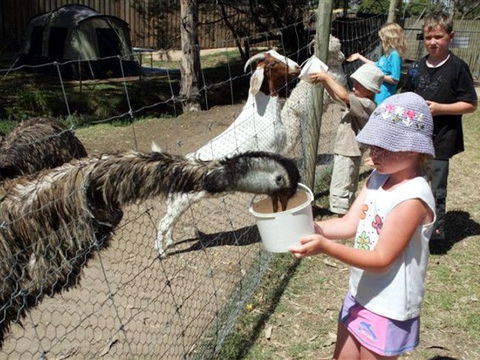 BIG4 Bairnsdale Holiday Park - Accommodation Bookings 0
