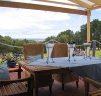 Blue Grape Vineyard Accommodation - Accommodation Bookings