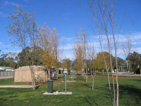 Cobram Oasis Tourist Park - Accommodation Bookings 1