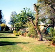 Condamine River Caravan Park - Accommodation Bookings