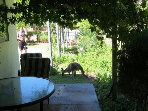 Tim's Place - Accommodation Bookings 2