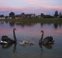 Mansfield Holiday Park