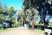 Cudal NSW Accommodation Bookings