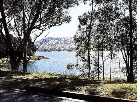 Ibis Styles Albury Lake Hume Resort - Accommodation Bookings 1