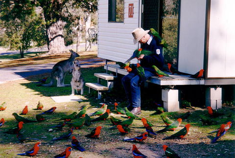 Inland Waters Holiday Parks Burrinjuck - Accommodation Bookings 0