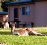 Kalgan River Chalets  Caravan Park - Accommodation Bookings