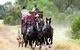 Kinnon & Co Outback Lodges - thumb 6