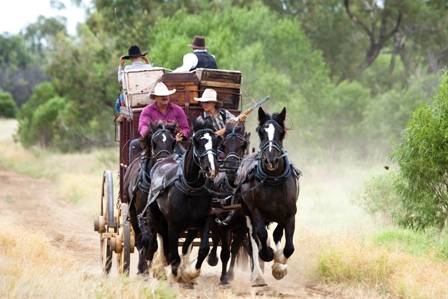 Kinnon & Co Outback Lodges - Accommodation Bookings 6