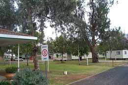 Pine Clump NSW Accommodation Bookings