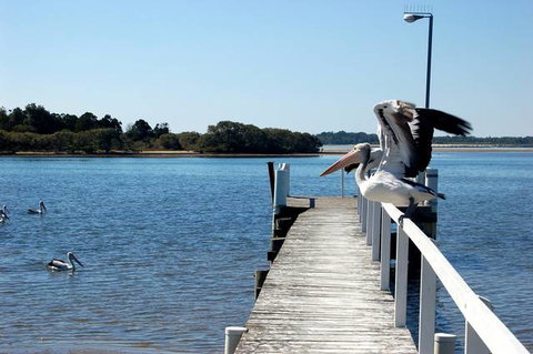 Moby Dick Waterfront Motel - Accommodation Bookings 4