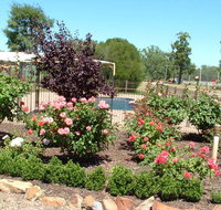 Newell Motor Inn - Accommodation Bookings