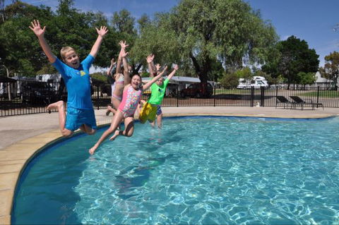 BIG4 Riverside Swan Hill - Accommodation Bookings 4