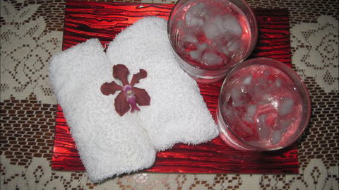 Bromeliad Bed And Breakfast - Accommodation Bookings 6