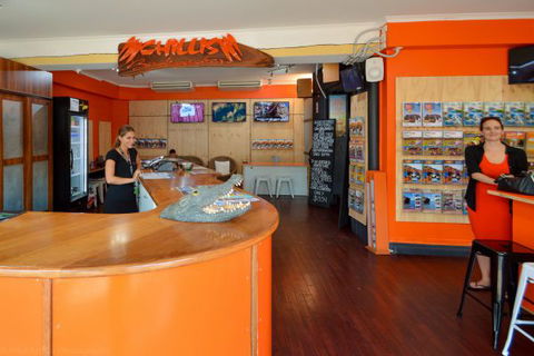 Chillis Backpackers - Accommodation Bookings 7