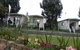 Hamilton Caravan Park - thumb 0