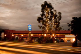 BEST WESTERN Balmoral Motor Inn - Accommodation Bookings 0