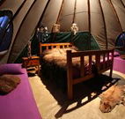 Aranyani Bison Adventure Tourist Park - Accommodation Bookings