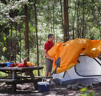 Bald Rock campground and picnic area - Accommodation Bookings