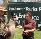 Bendemeer Tourist Park - Accommodation Bookings
