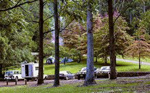 Dingo Tops Campground - Accommodation Bookings 1