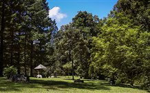 Dingo Tops Campground - Accommodation Bookings 2