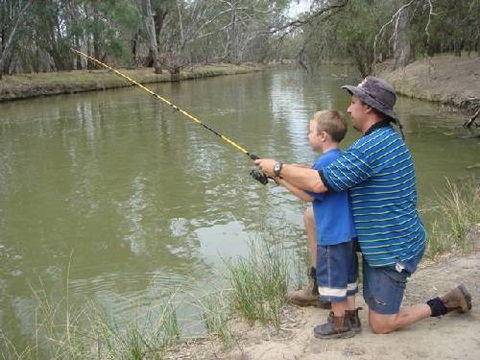 Riverview Caravan Park - Accommodation Bookings 4