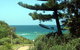 Seashells Beachfront Resort - thumb 0