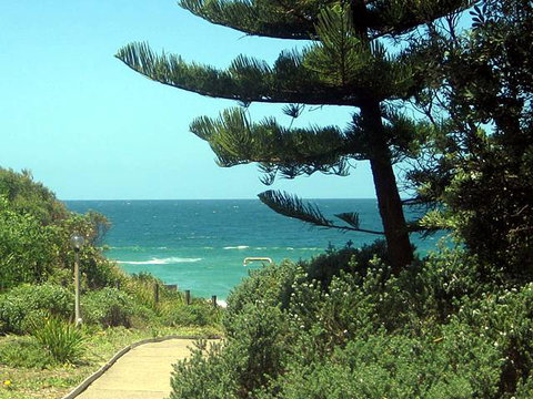 Seashells Beachfront Resort - Accommodation Bookings 0