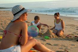 Seashells Beachfront Resort - Accommodation Bookings 4