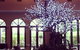 Shangri-La Gardens - thumb 1