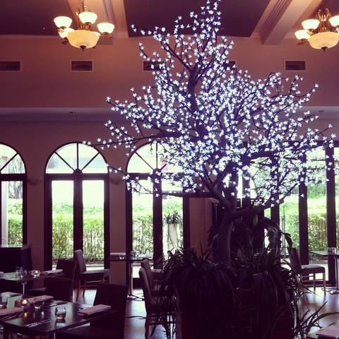 Shangri-La Gardens - Accommodation Bookings 1