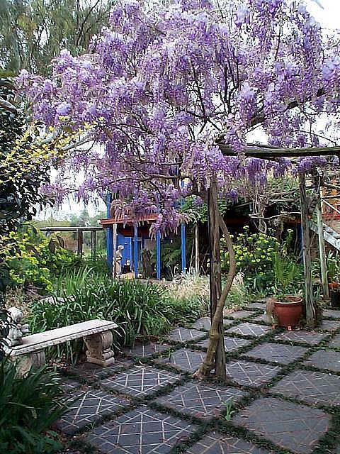 The Retreat At Froog Moore Park - Accommodation Bookings 2