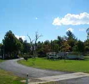 Wairo Beach Tourist Park - Accommodation Bookings