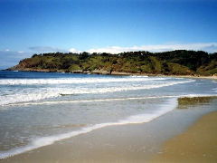 Walkabout Holiday House - Accommodation Bookings 4