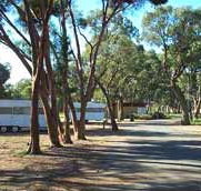 Wycheproof Caravan Park - Accommodation Bookings