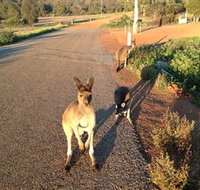 Bindoons Windmill Farm - Accommodation Bookings
