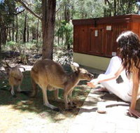 Yelverton Brook Eco Spa Retreat and Conservation Sanctuary - Accommodation Bookings